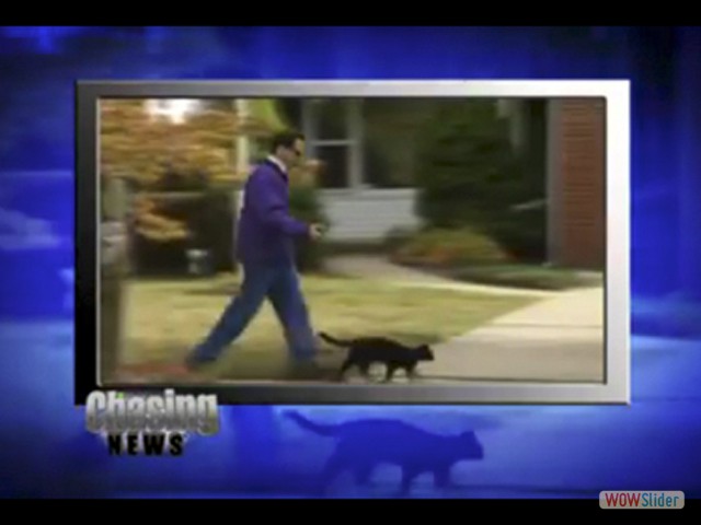 RRchasingNews2
